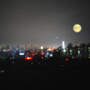 少妇推油按摩私密Bb
